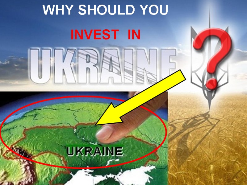 WHY SHOULD YOU   INVEST  IN